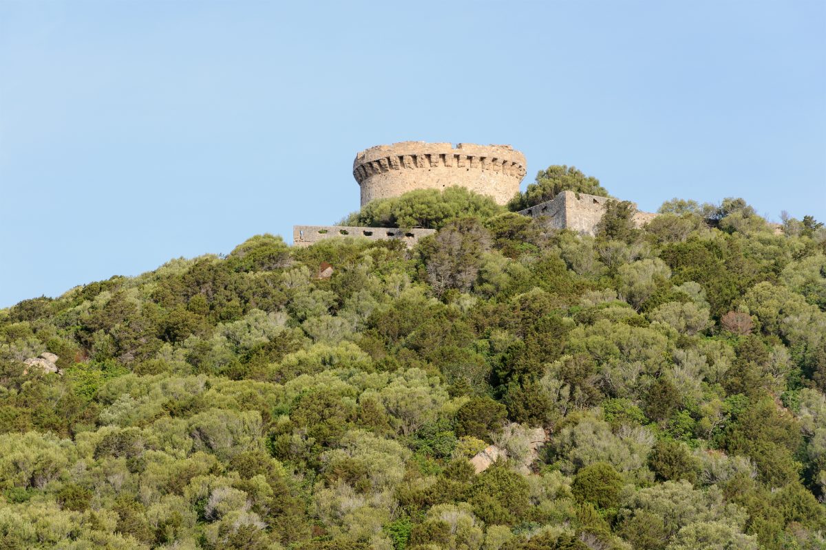 La tour génoise de Campomoro et son enceinte bastionnée, dressées sur le promontoire du golfe du Valinco.