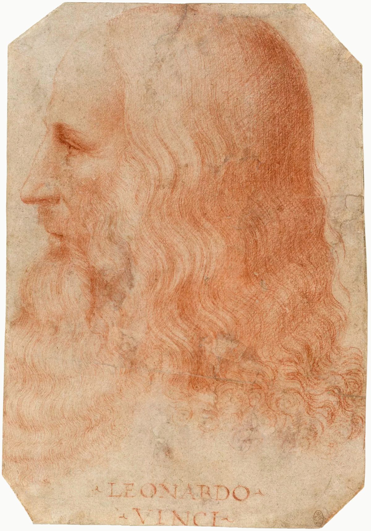Portrait de Léonard de Vinci à la sanguine, attribué à son élève Francesco Melzi, inscrit « Leonardo Vinci ».