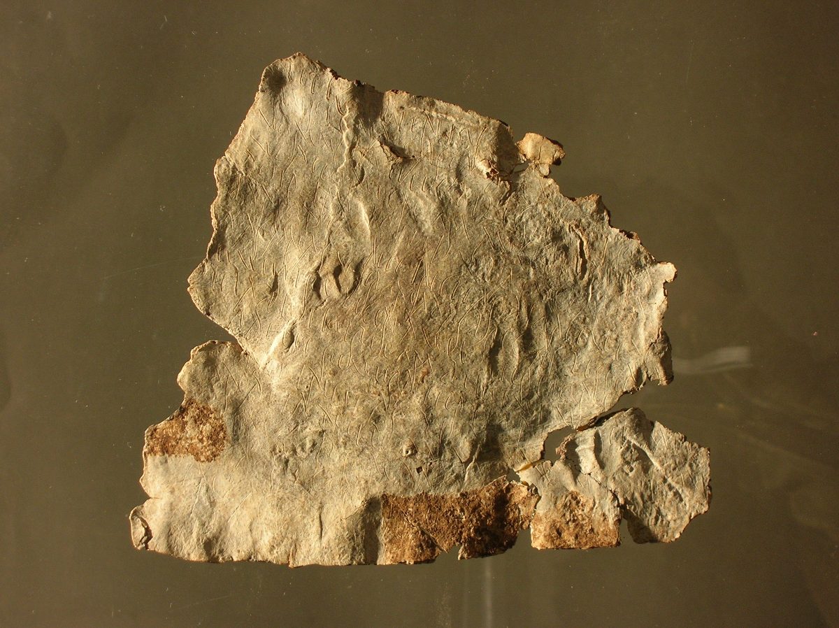 Fragment de la tablette de défixion en plomb de L'Hospitalet-du-Larzac, gravée en gaulois, musée de Millau.